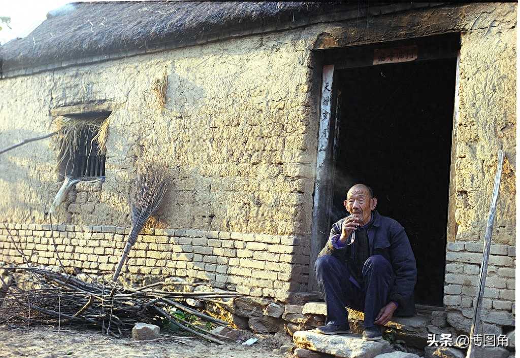 淮草：庇护大众千百年的民房建筑材料，如今再度沦落荒丘成野草