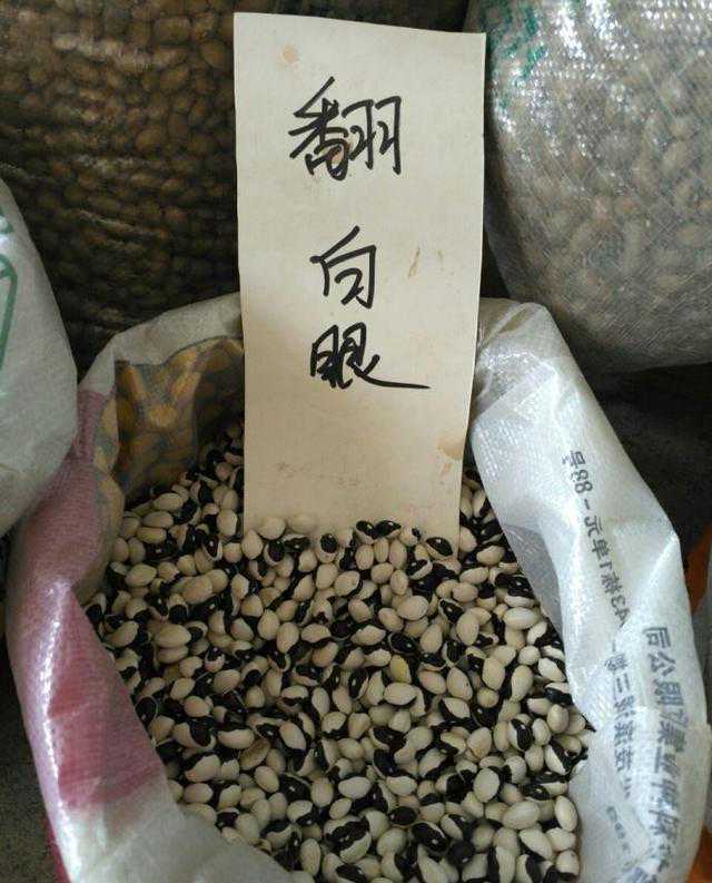扁豆叫豆角，但豆角不一定是扁豆