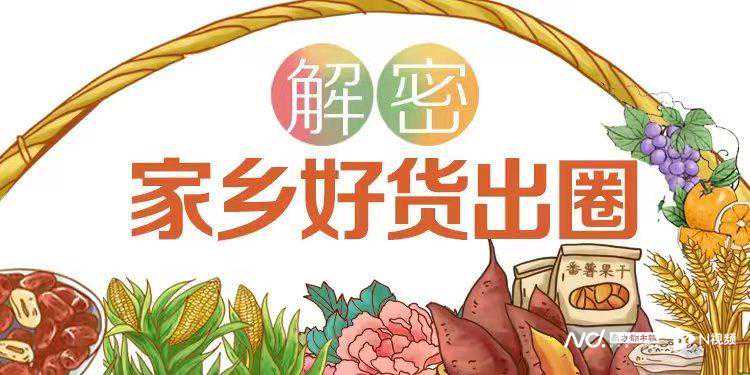 中国“辣椒之王”竟然藏在海南！科技助力“小辣椒”变大产业