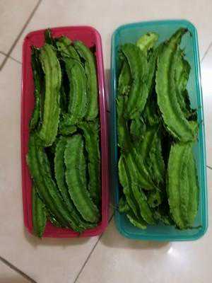 四棱豆和四翼豆特点、利用历史、成分、用途用法和传播