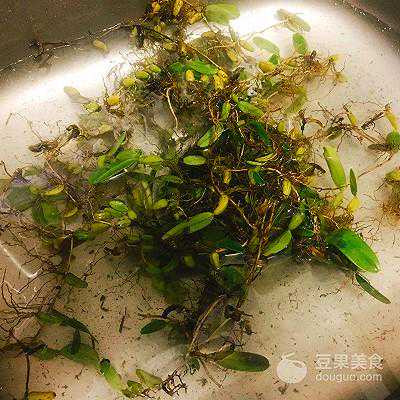 石橄榄煲鸡的做法