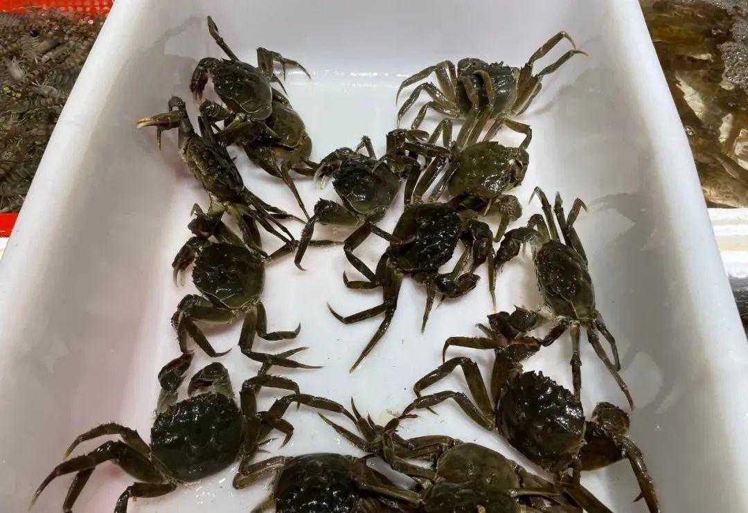 吃货们，“六月黄”已上市！你尝鲜了吗？